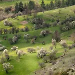 здравец Yagodina