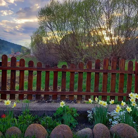 здравец Yagodina