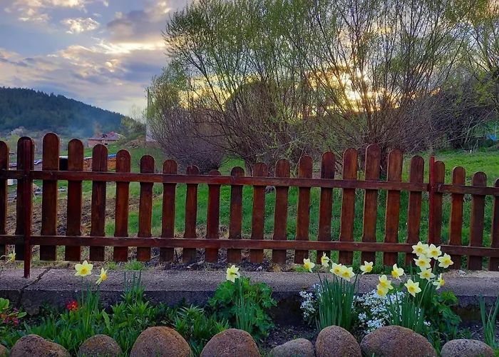 здравец Yagodina