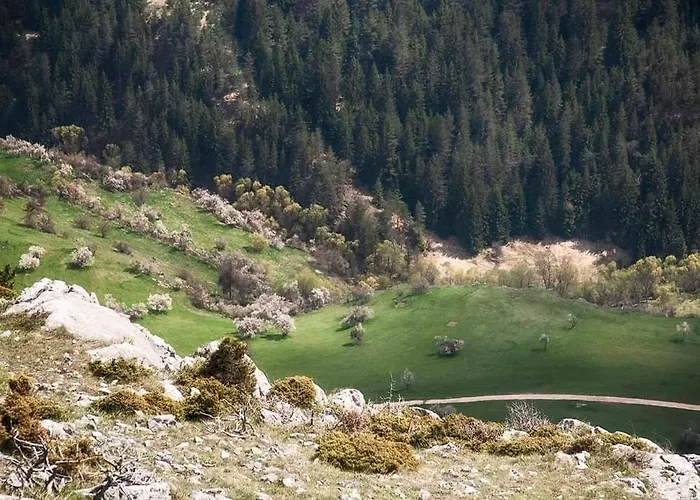 здравец * Yagodina