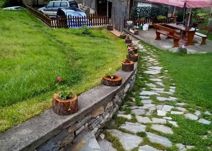 здравец * Yagodina