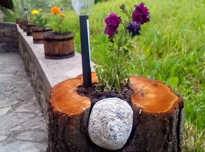 Casa de Férias здравец *